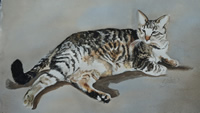 Jack the Cat