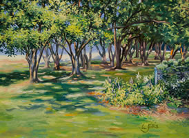 Grove of Trees